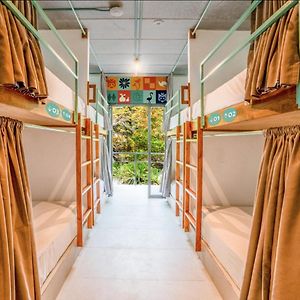 Dormitory Room Mixed